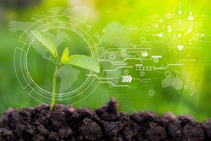 SOFIS® – sistema de monitorização inteligente para uma agricultura de precisão acessível a todos